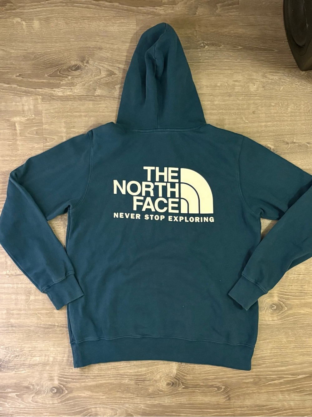 The North Face Men's Teal Crewneck Logo Hoodie